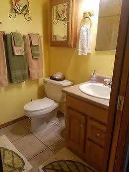 וולקנו Bamboo Orchid Cottage 2*,  ארצות הברית